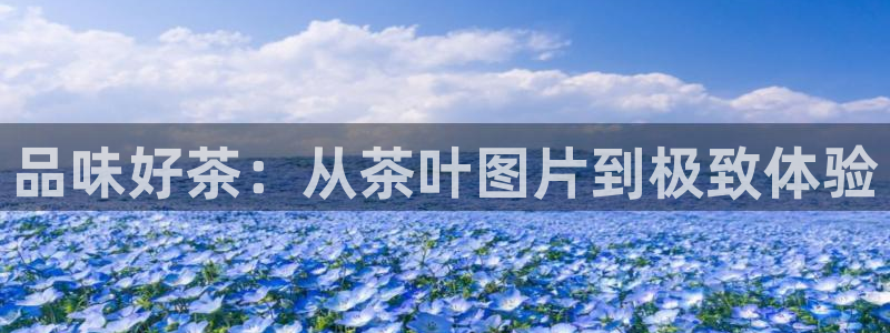 金年会娱乐下载app