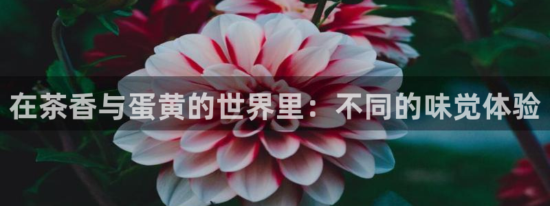 金年会会