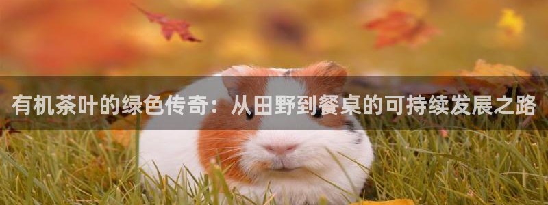 金年会退款