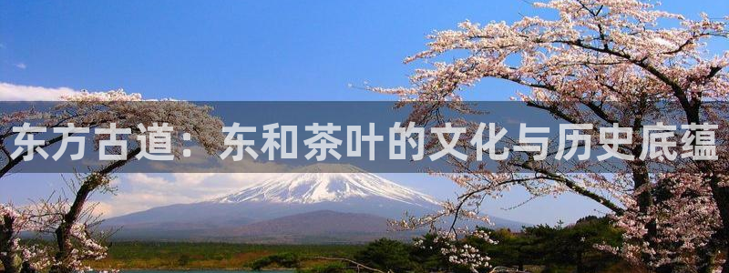 金年会金字招牌信誉至上