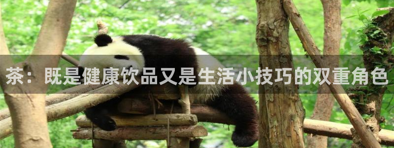 金年会手机app