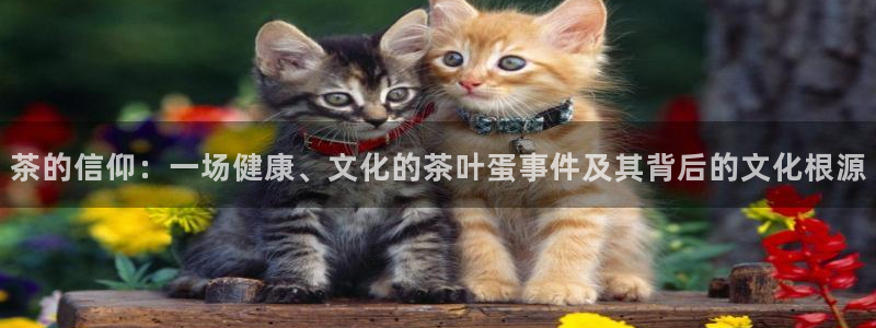 金年会6766