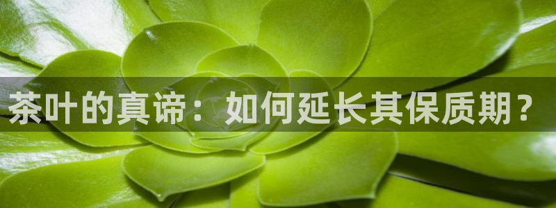 金科年会图片