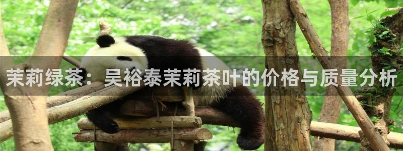 金年会最新官网