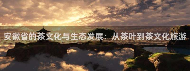 金顶年会