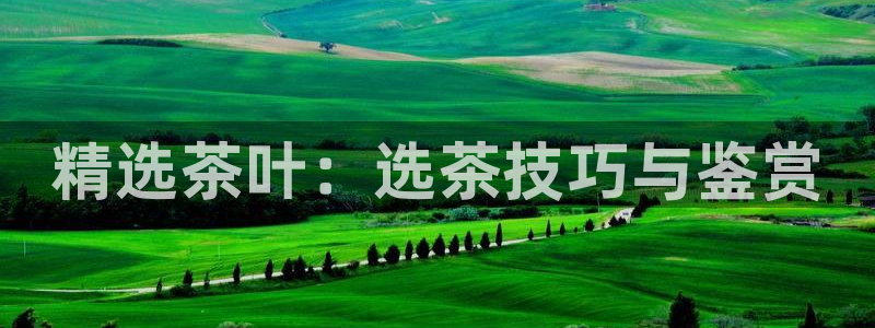 金年会原名