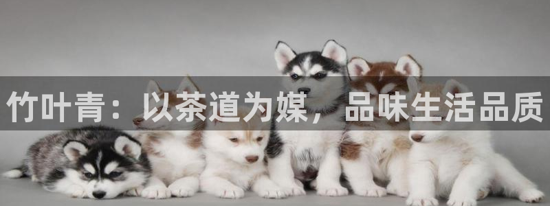 金年会游戏