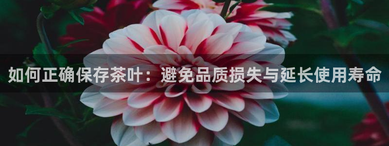 金年会全站