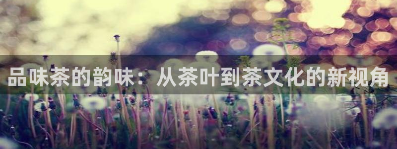 金年会代理