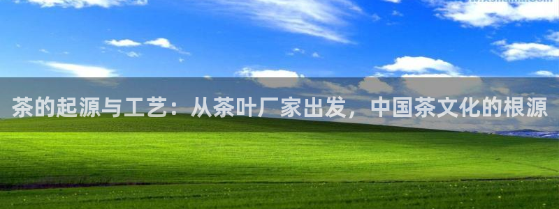 金年会.cc