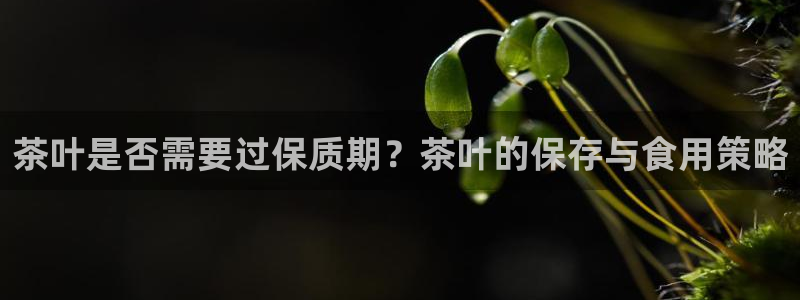 金年会官网入口