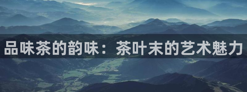 金年会电子游戏app