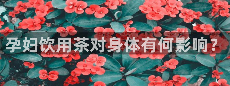 金年会官方网址登录路线