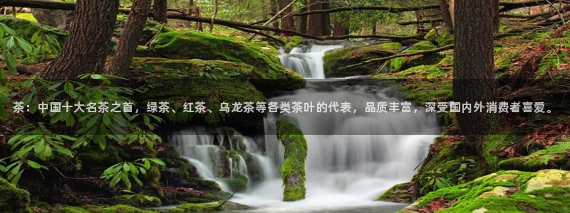 金年会信誉