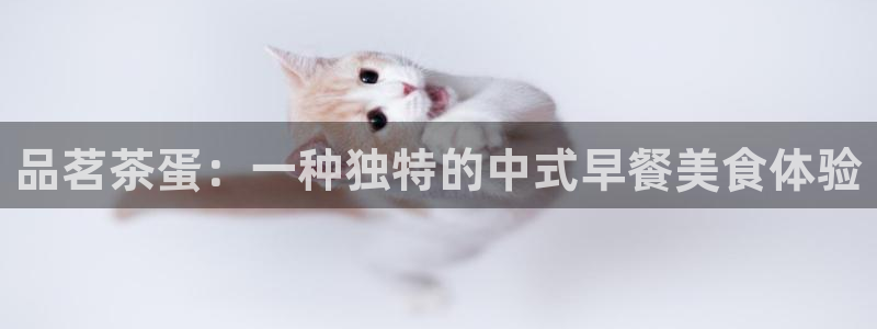 金年会手机网页版登录