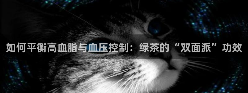 金年会全站app