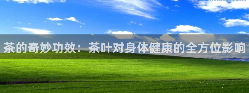 金年会退款