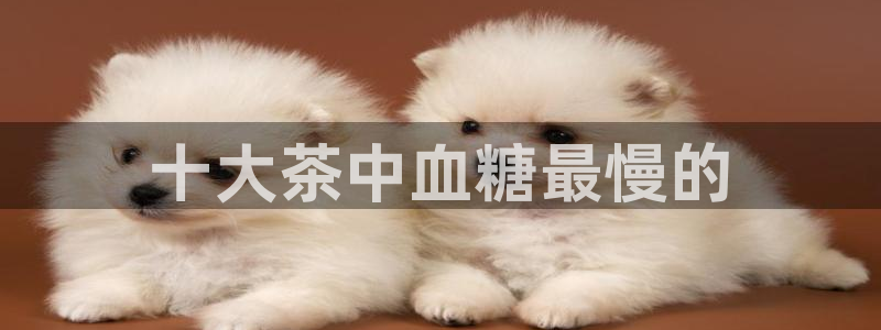 融通金年会