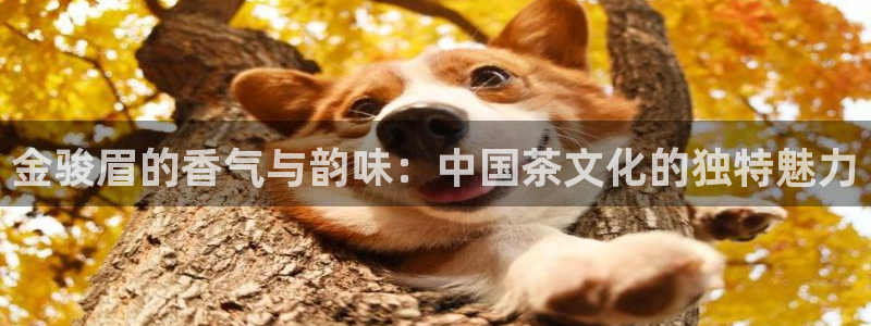 金年会首页登录