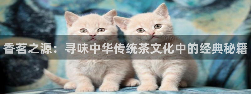 金年会开户