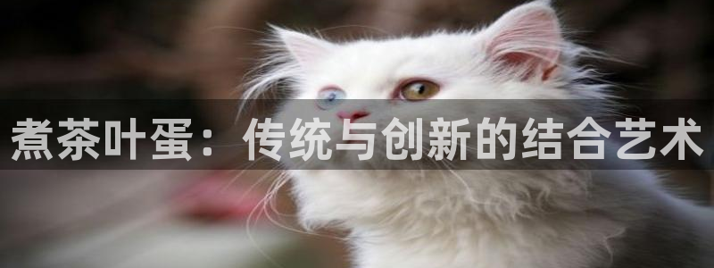 金年会体育娱乐