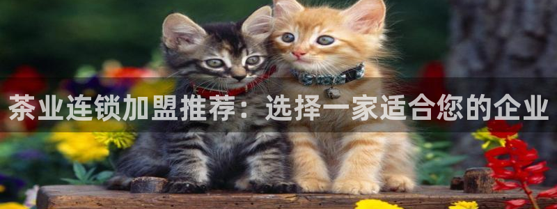 金实年会