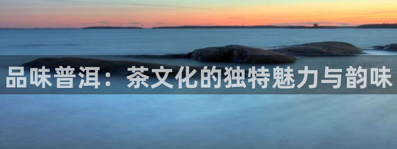 金年会电子游戏