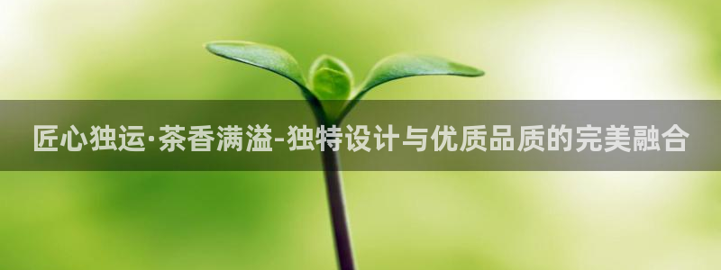 世纪金源年会