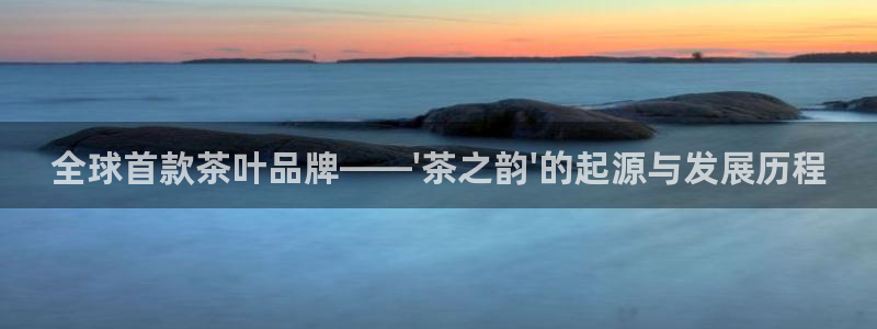 金年会活动策划