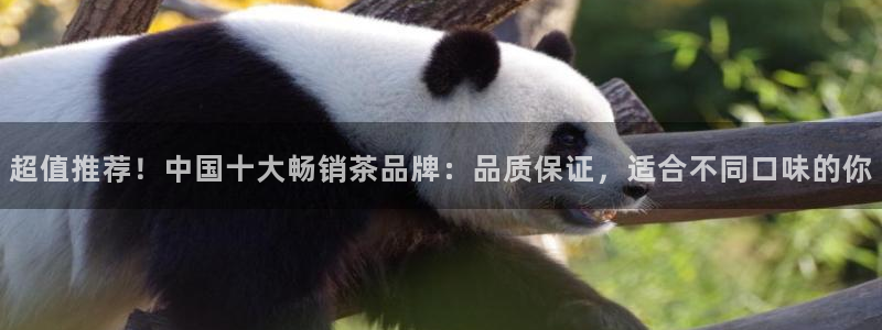 金年会游戏官网