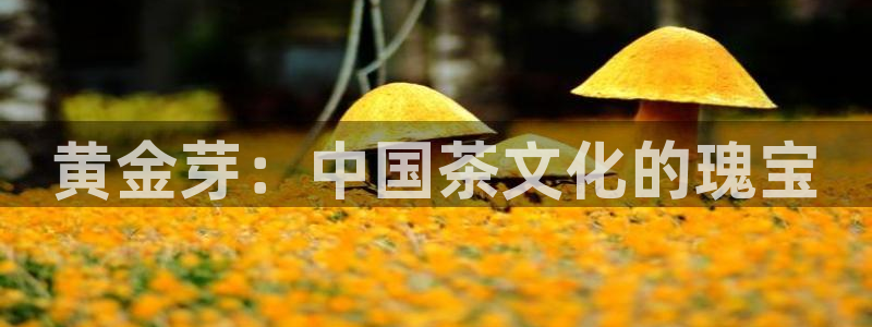 金年会电子游戏