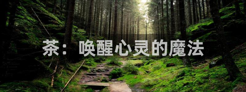 金年会6766001