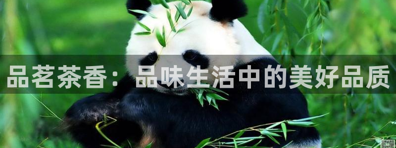 金年会官方网站