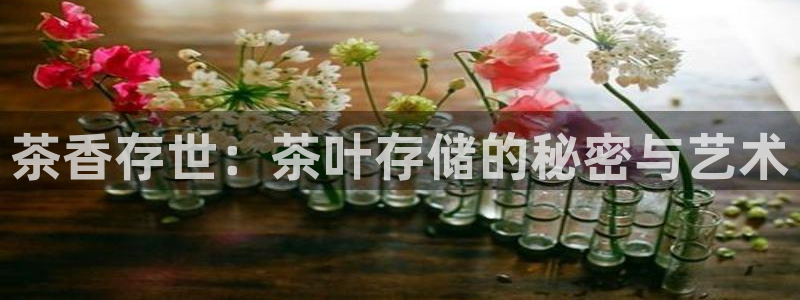 金年会是真的吗