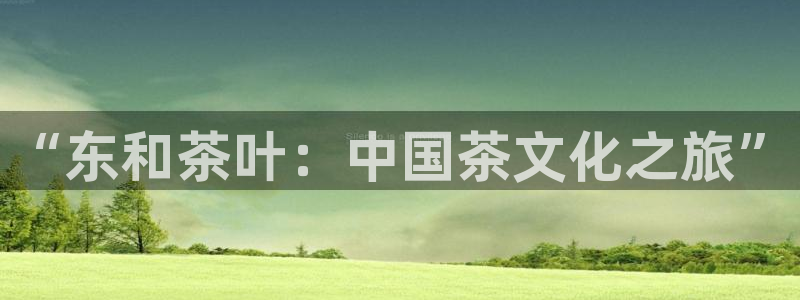 金吉年会