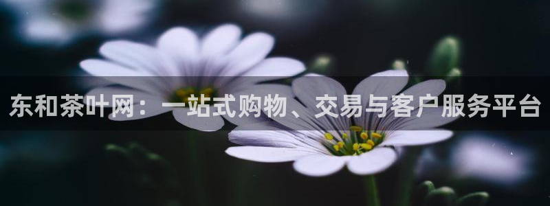 金年会这个平台