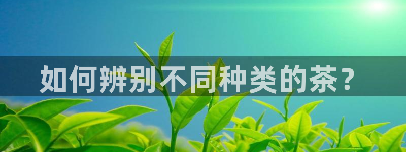 世界杯金年会app下载
