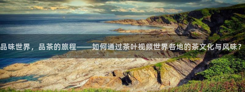 金年会体育金年会官网