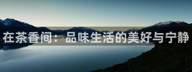 金年会金字招牌至上
