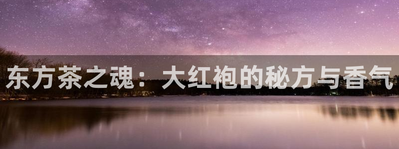 金年会活动策划