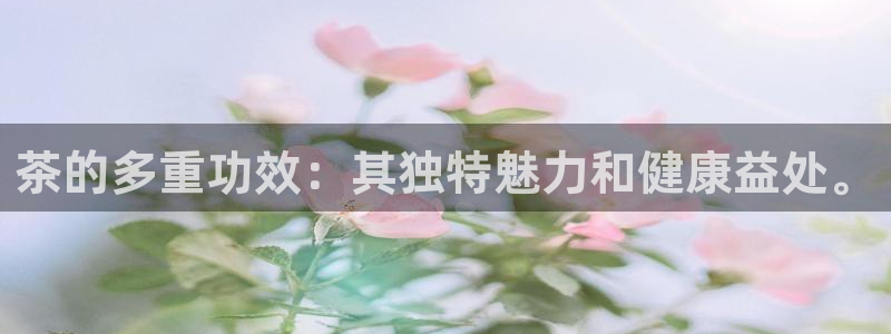 金年会平台出款