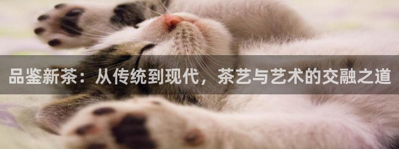 金年会体育苹果下载