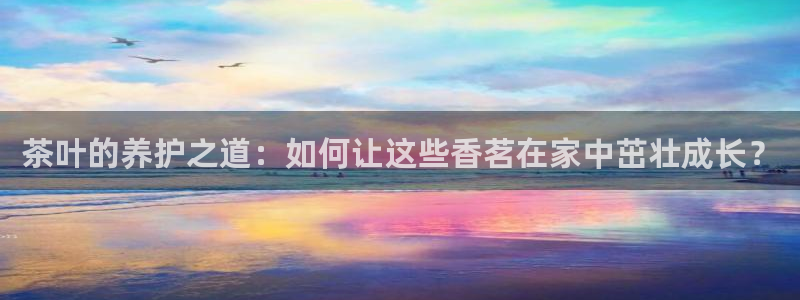 金年会体育官方