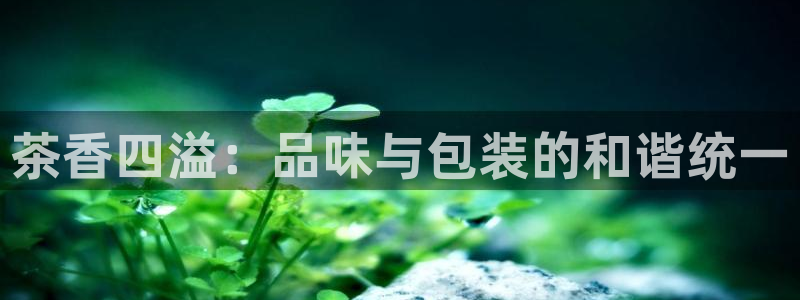金年会手机app