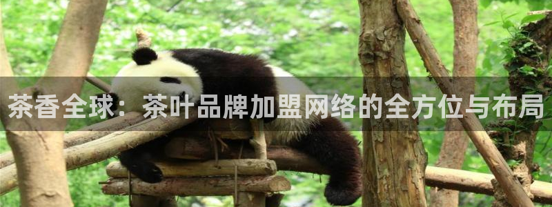 金年会体育娱乐