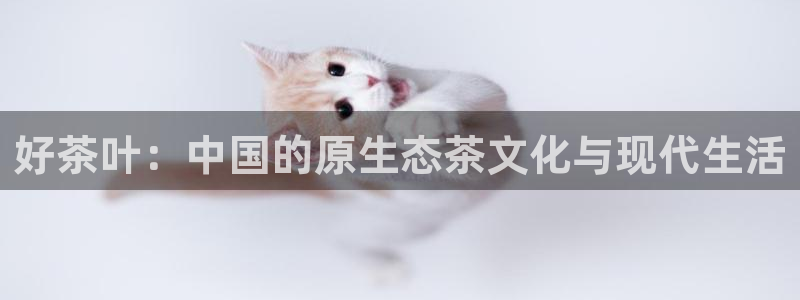 金年会 金字招牌