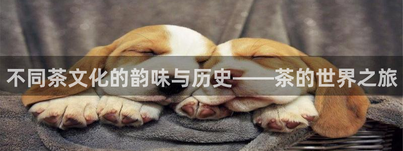 金年会体育娱乐