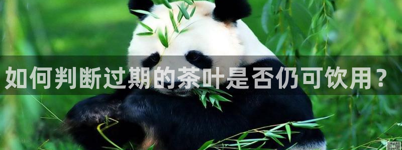 金年会金字招牌信誉