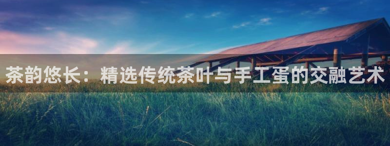 金年会软件之家下载