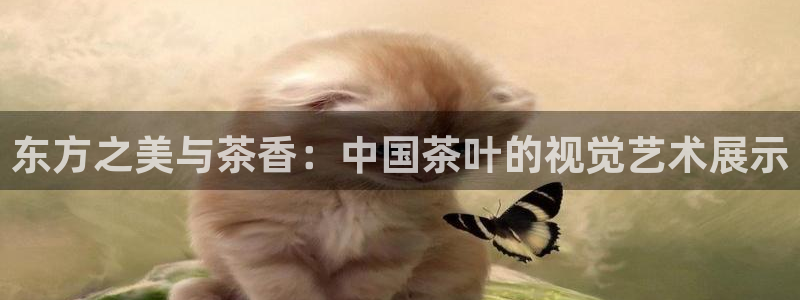 金年会金字招牌下载